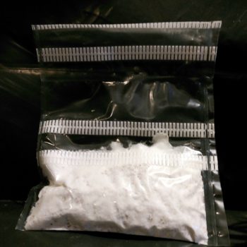 Recharge Fungi Pop - Mycélium