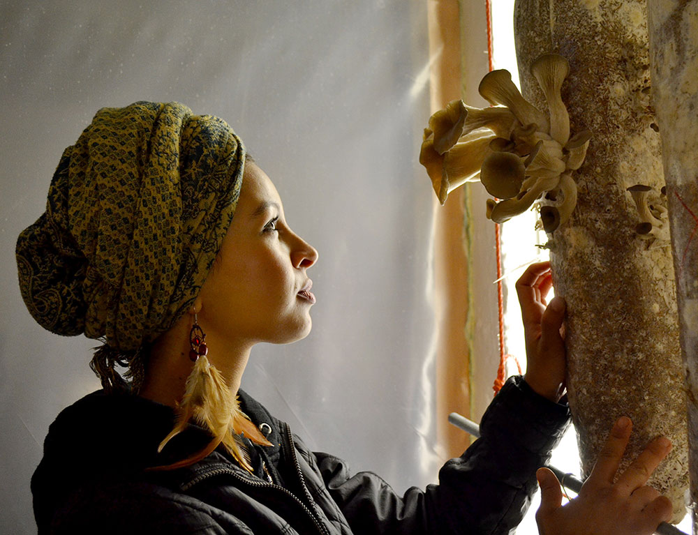 economie-locale-sociale