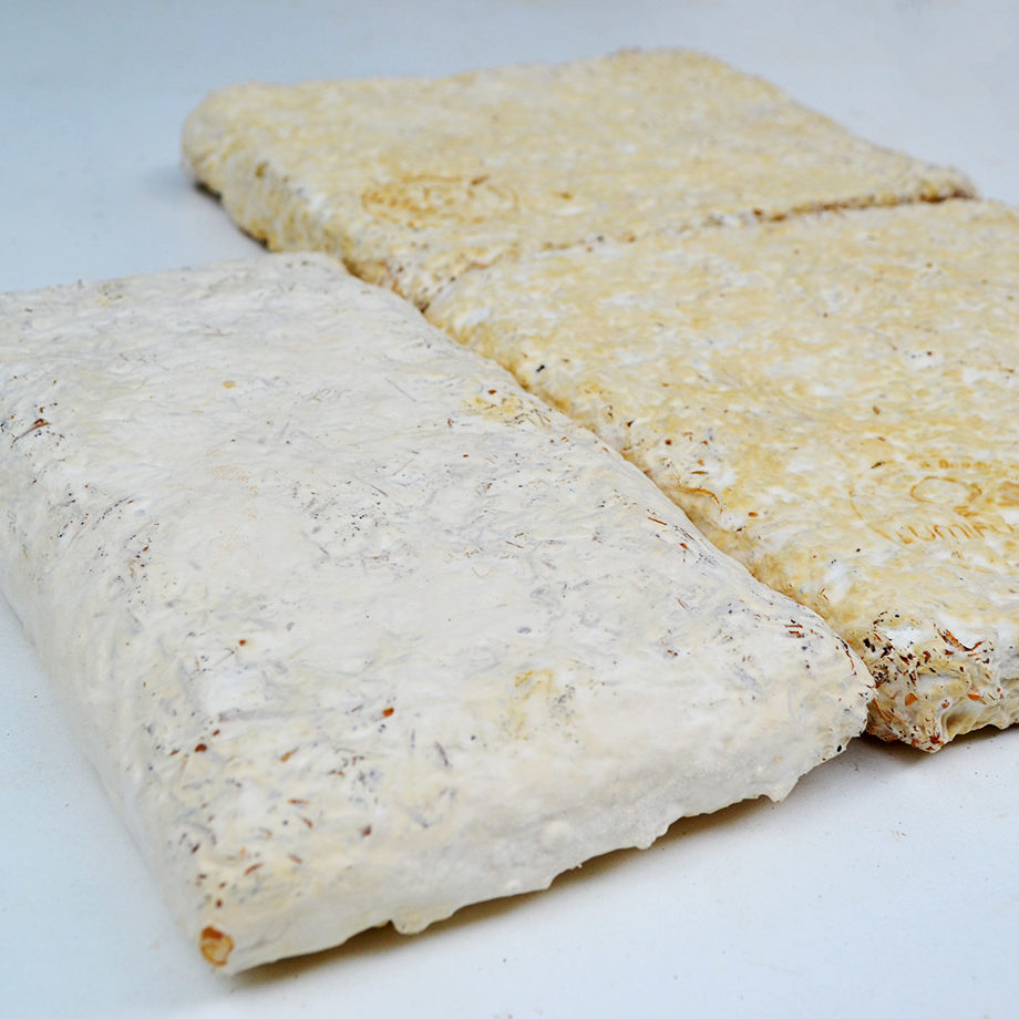 myco-materiau2 myco-materiau2