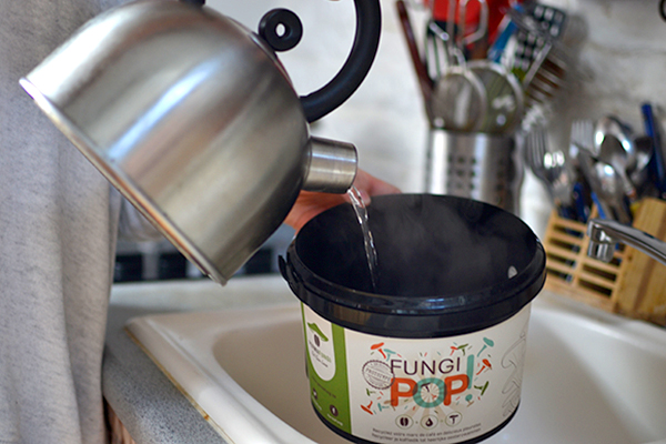 1. Sterilize the box