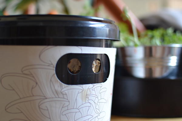 6. Remove the stickers