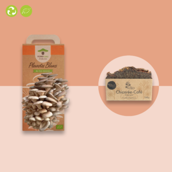 Pack "Mush & Bathroom"