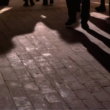 Book a visit to our urban mushroom farm